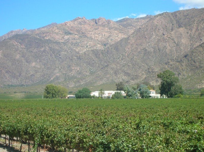 Viñedos y montañas de Cafayate / Lautaro by Lautaro Tessi