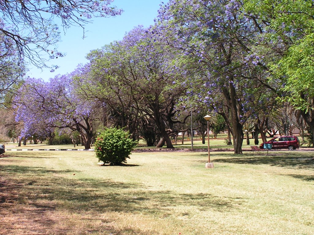 Tsumeb by Sander Keurntjes