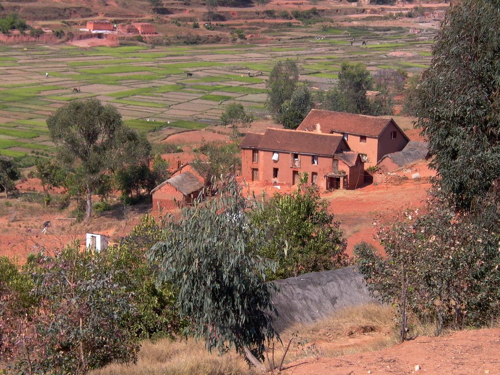 Une ferme à Ambohimidasy by Papymaj