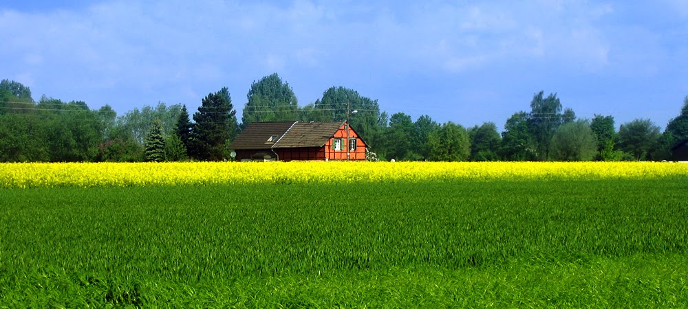 House and field near Korschenbroich in summer by Peter Messingfeld