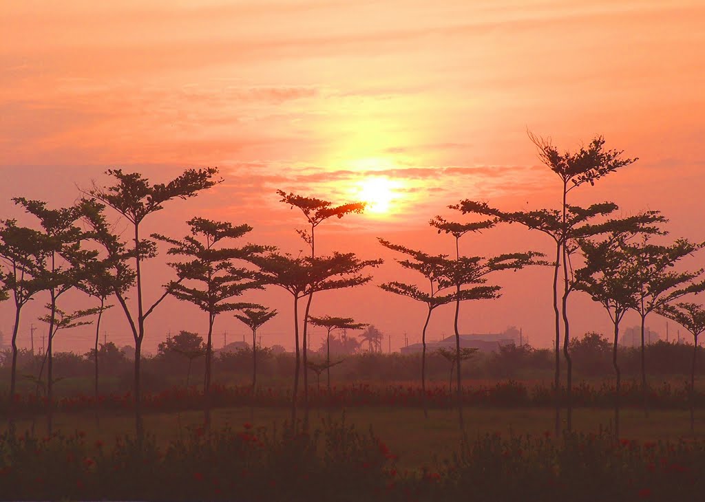 Beautiful morning 晨曦 by Michael  安路