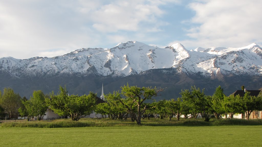 Apple Trees and Lone Peak Summit by Albert Li