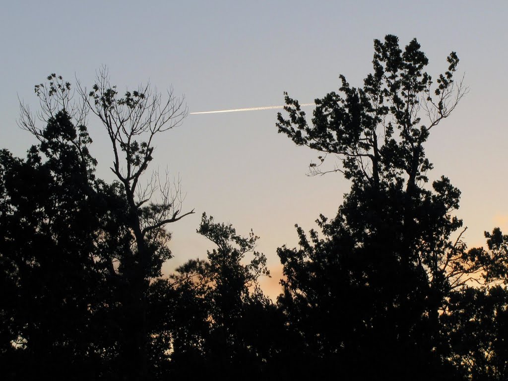 Late afternoon - Rest area / Hwy 158, NC, USA. by André Bonacin