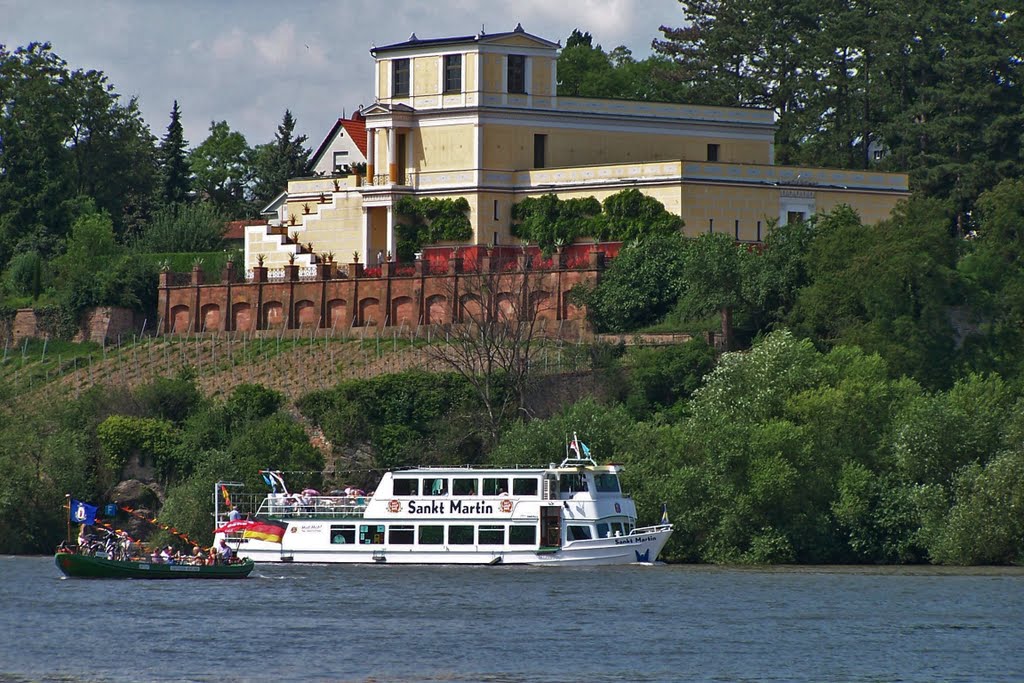 Aschaffenburg - Pompejanum & Sankt Martin by martin36