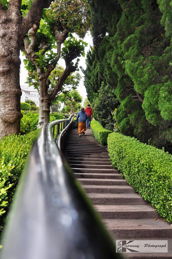 Steps... by Eva Kaprinay