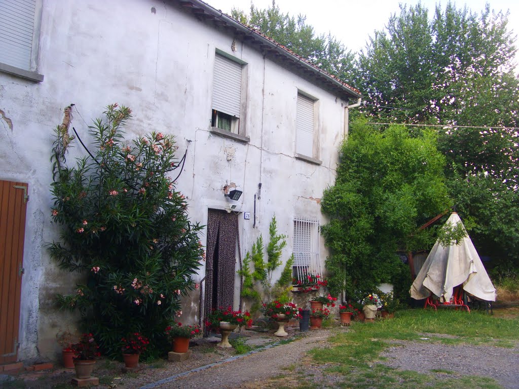 Faenza - Via Casale - Aria di campagna (31/05/2011) by esse est reminisci (SAVE PANORAMIO)