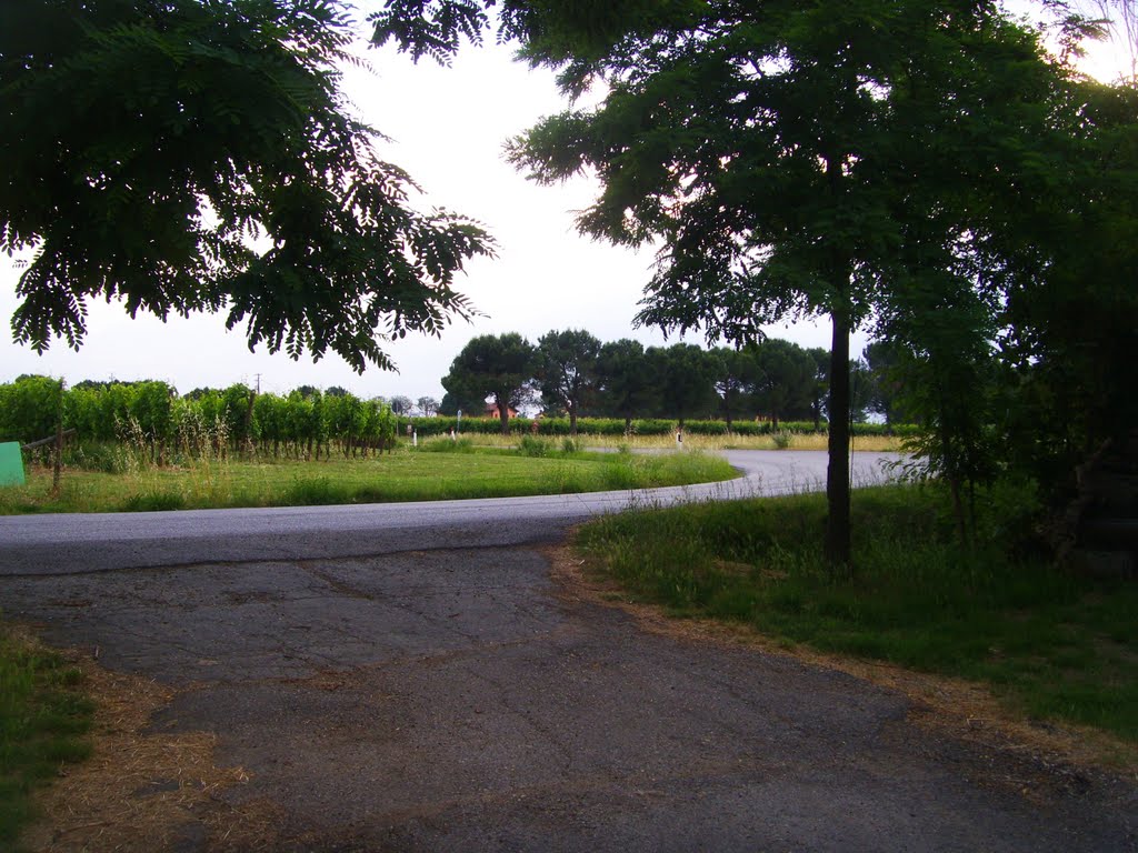 Faenza - Via Casale - Campagna faentina ai margini del fiume Senio (31/05/2011) by esse est reminisci (SAVE PANORAMIO)