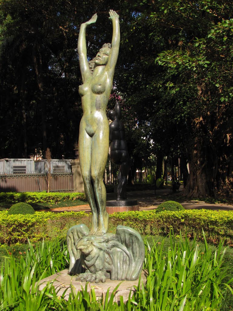 Jardim da Luz, São Paulo, SP, Brasil. by André Bonacin