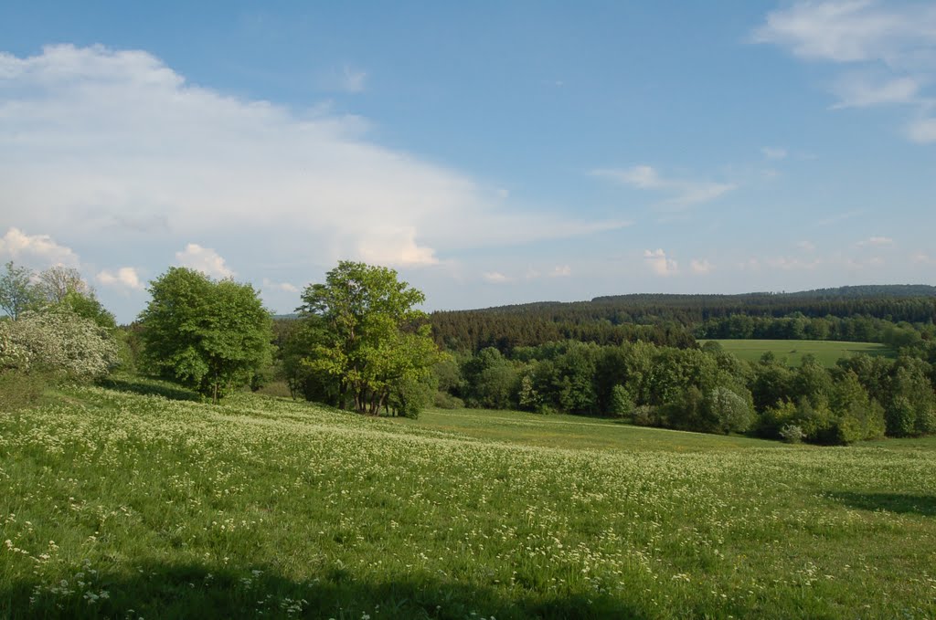 Bergwiesen bei Hohegeiß by Timberjack1982