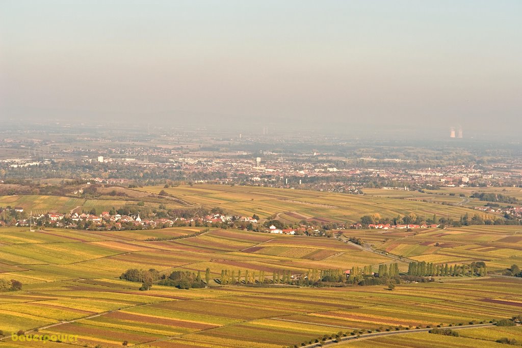 Blick Richtung Landau/Germersheim by bauerpower