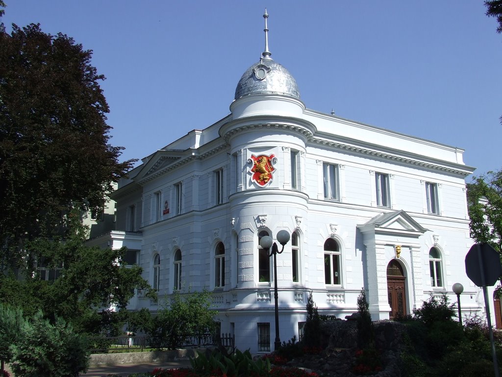 Siedziba biblioteki- Dębno by Michał Dobrowolski