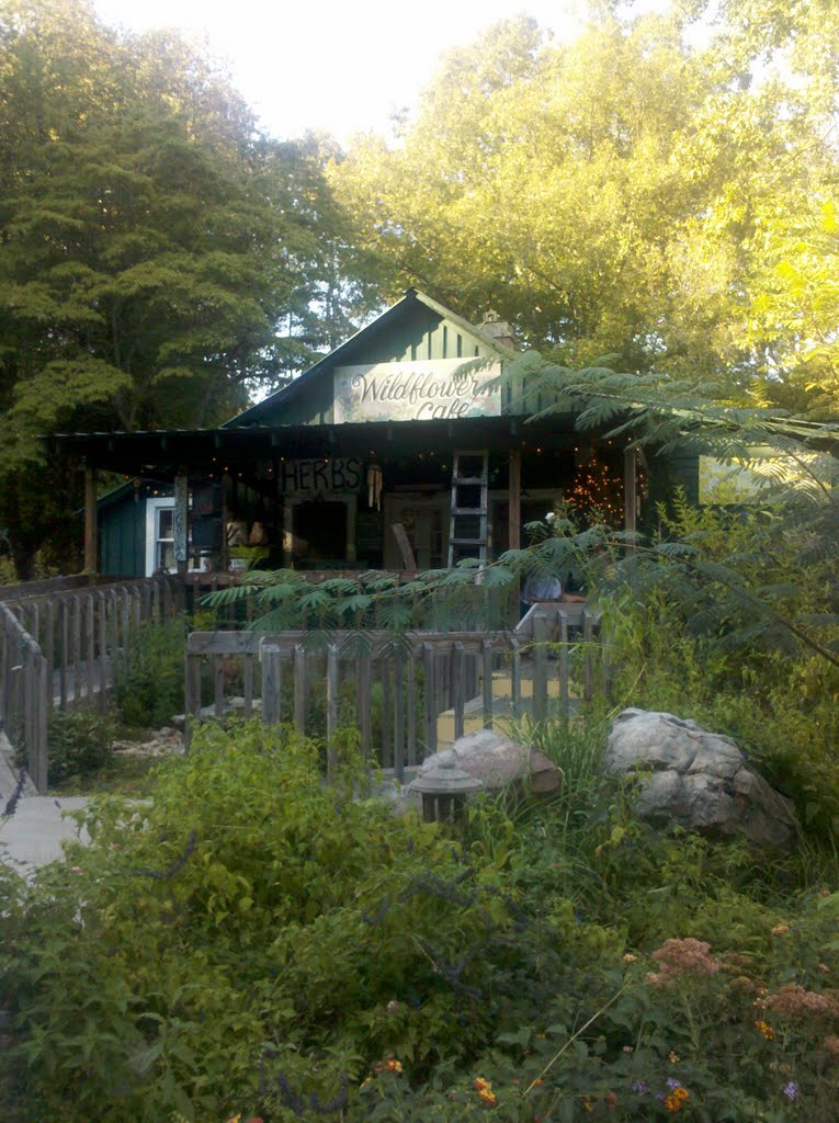 The Wildflower Cafe in Mentone, AL by exterran