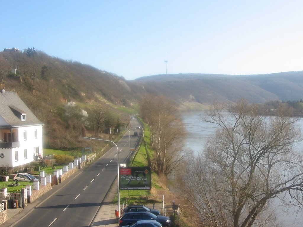 Gülser Eisenbahnbrücke mit Blick auf den Kühkopf by ft-foto