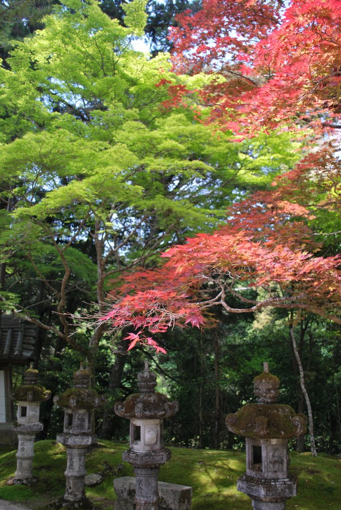 Saimyoji Temple　西明寺 by KBB