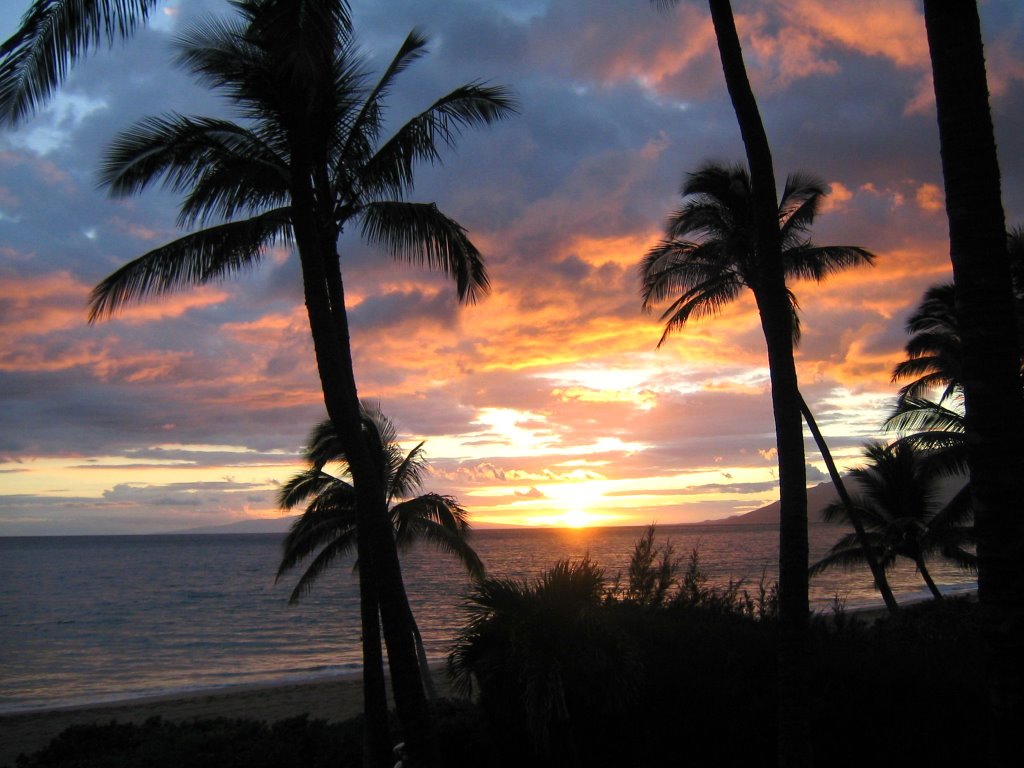 This is Paradise! by Dolphins Point Maui