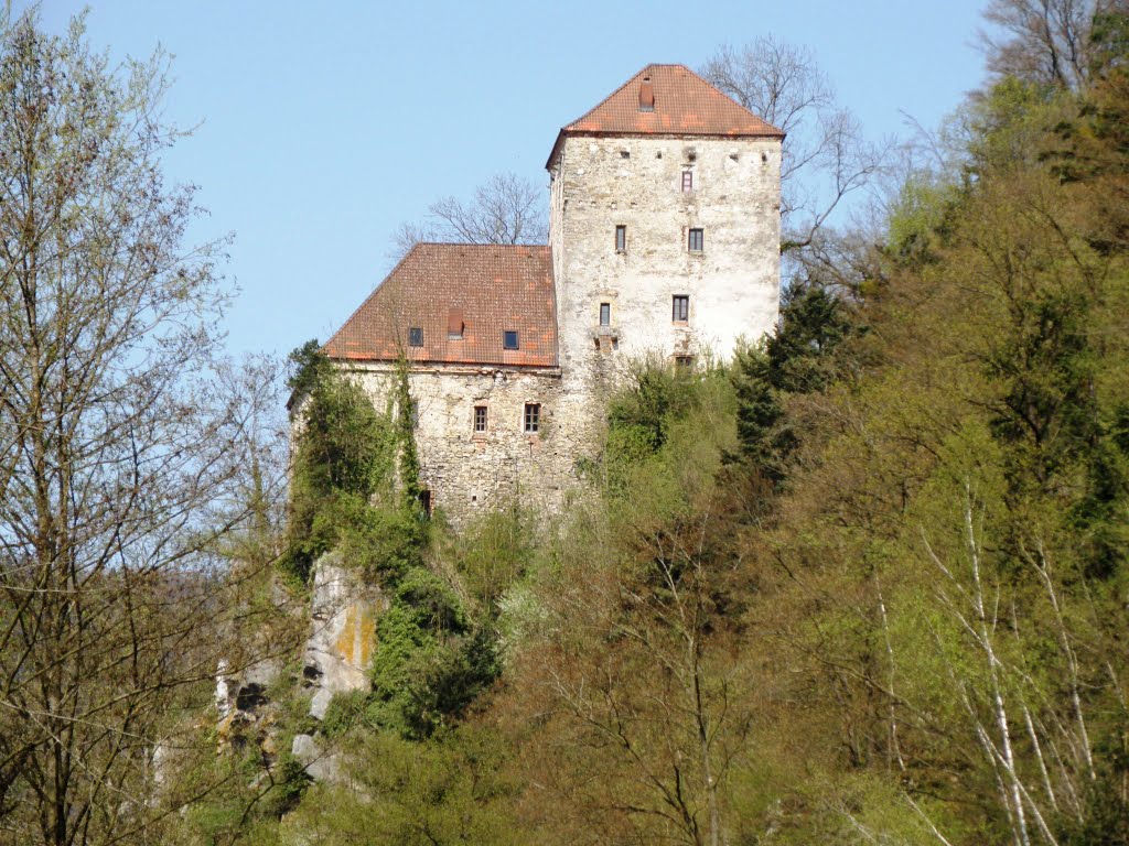 Burg Krämpelstein 2010 by 192mscbert