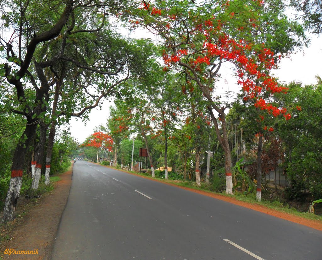 DIAMOND HARBOUR ROAD (NH 117) by B.Pramanik