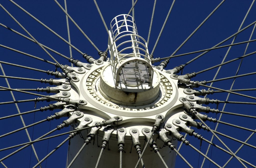 London Eye by Phoebus Apostolides