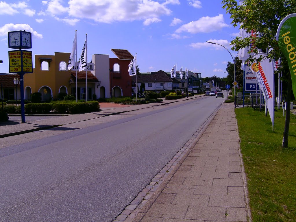 Gärtnerstraße in Halstenbek mit Blick nach Norden by Der Naturmensch