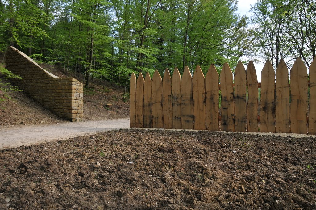 Beginn der Rätischen Mauer im Rotenbachtal by Lochenstein