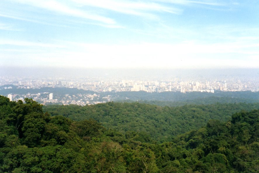 Vista da Pedra Grande, no Parque da Cantareira, São Paulo, SP by Suzana Santos