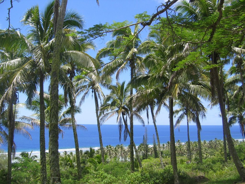 View from Mangaia Hospital by Ngarua