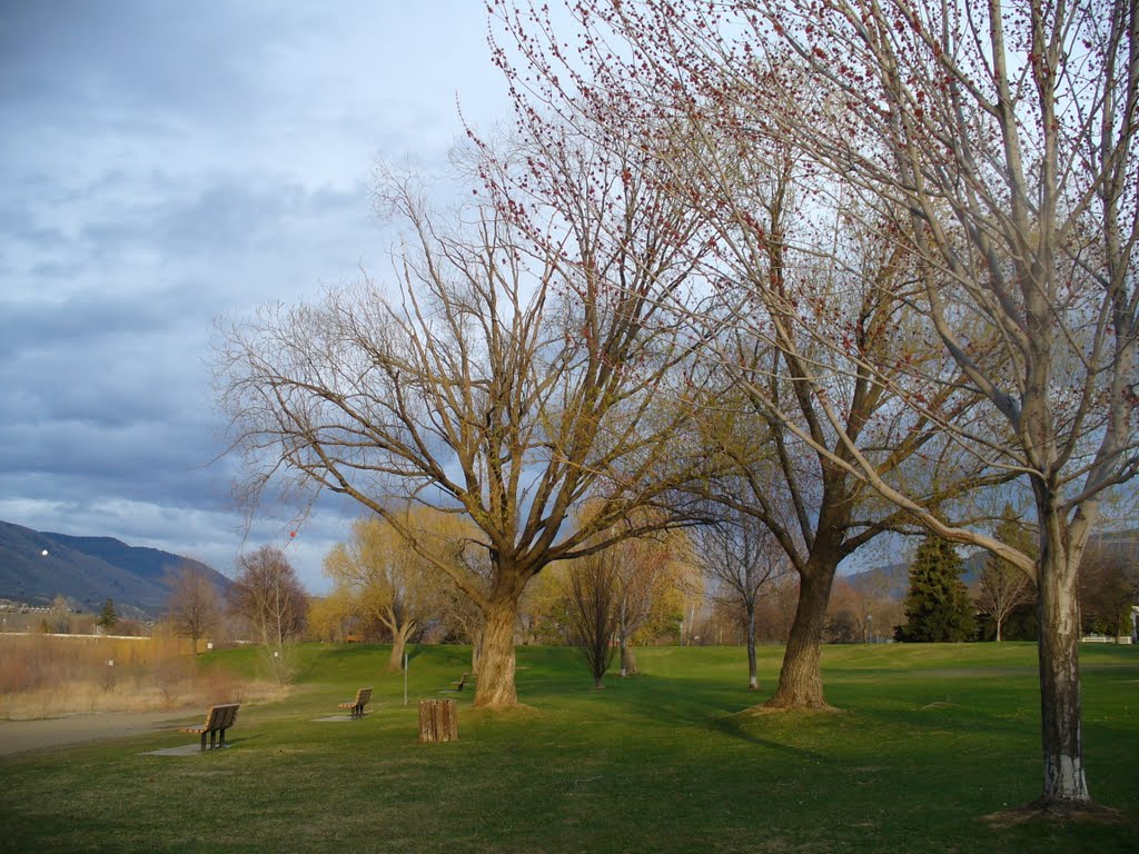 In the Park by Halina J. Beaulieu