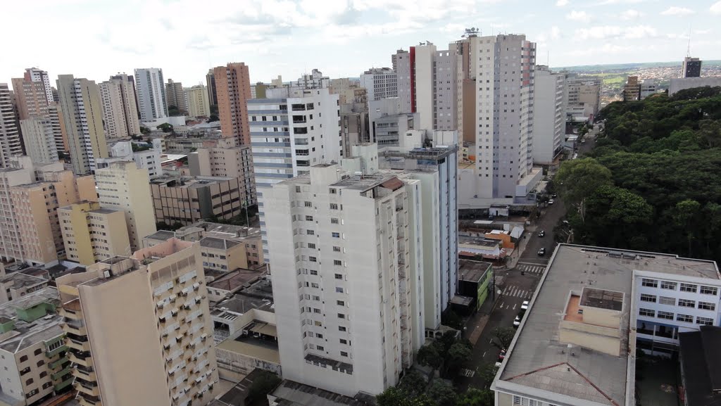 Avenida São Paulo e bosque - Londrina - Paraná - Brasil by Paulo Yuji Takarada