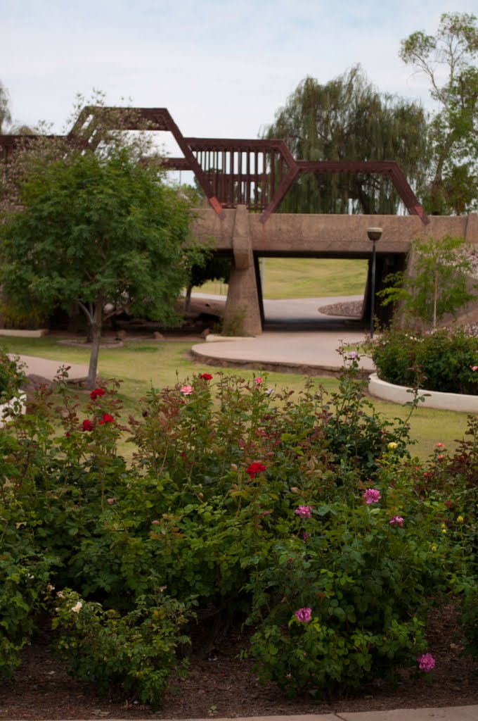 Kiwanis Park Flower Bed Tunnel by davidpinter