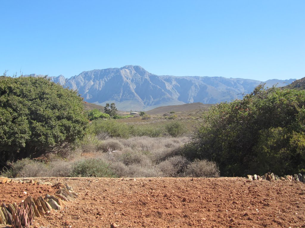 Karoo Desert National Botanical Garden by Willem Nabuurs