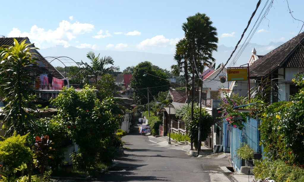 Nice street in Malang by Jack Pesik