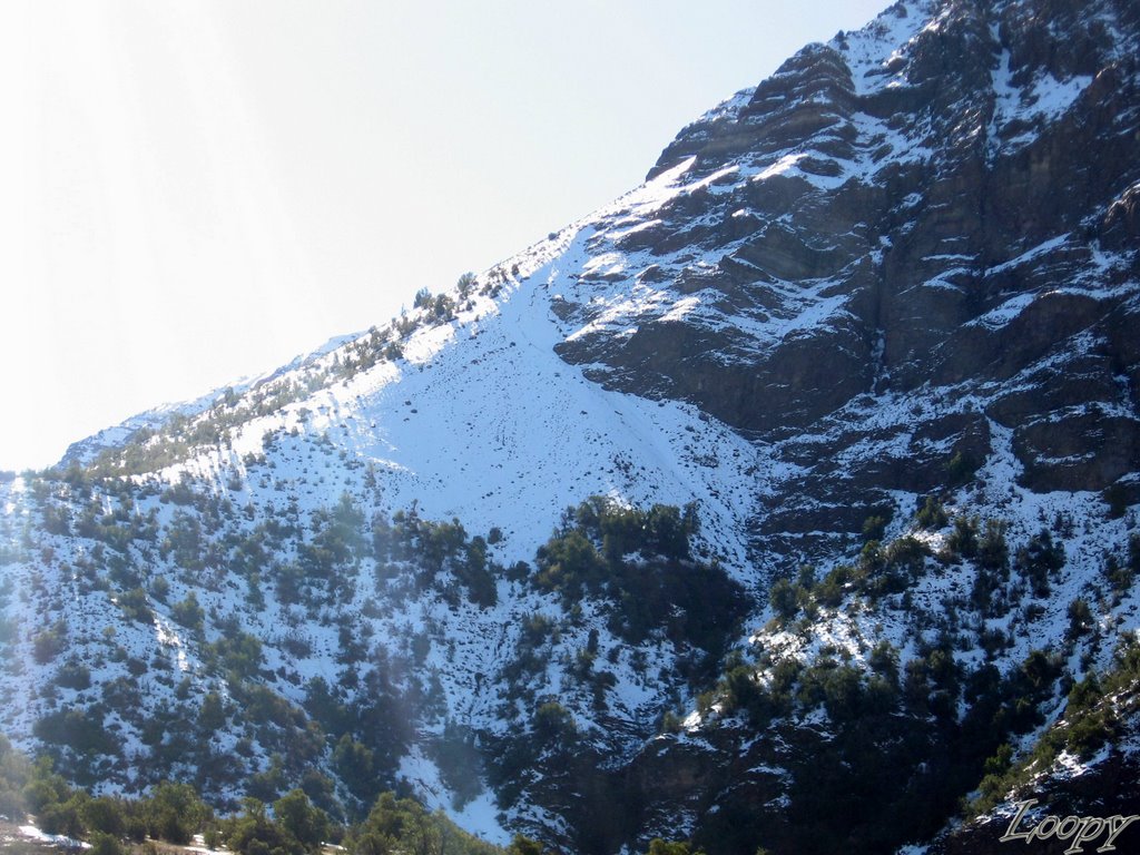 Sa Alfonso - Cajon del Maipo by lgalvezp