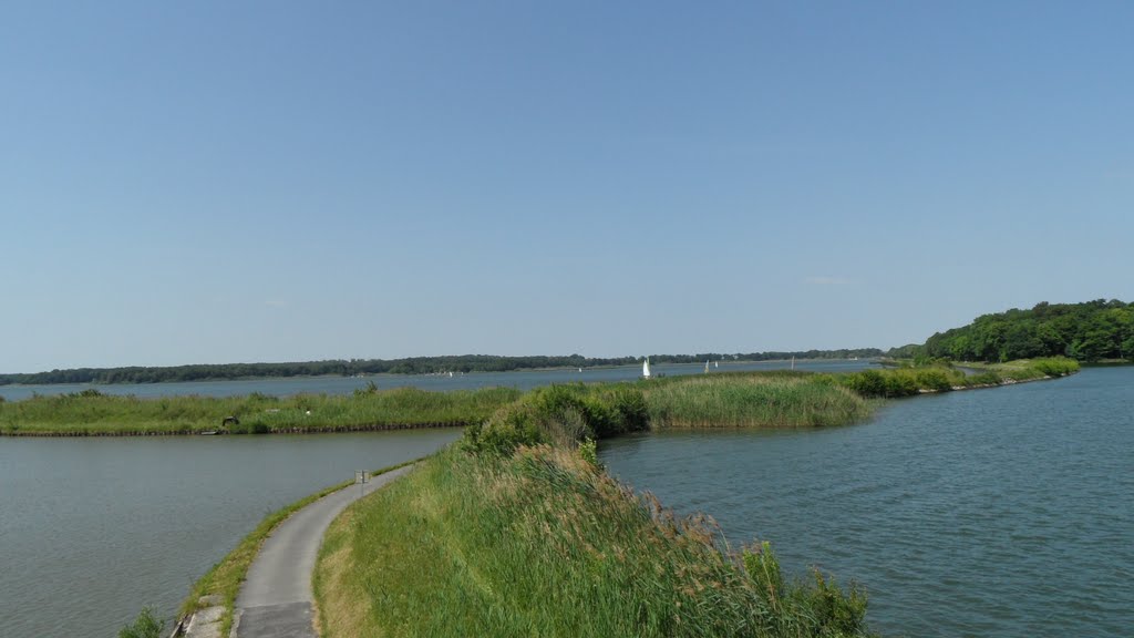 Étang de Gondrexange et canal des Houillières by Fredy Thomas