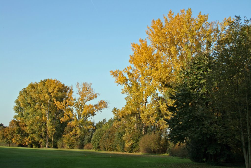 Golf Club Hanau Wilhelmsbad - right hand side of fairway No 16 in fall by Dieter Hoffmann