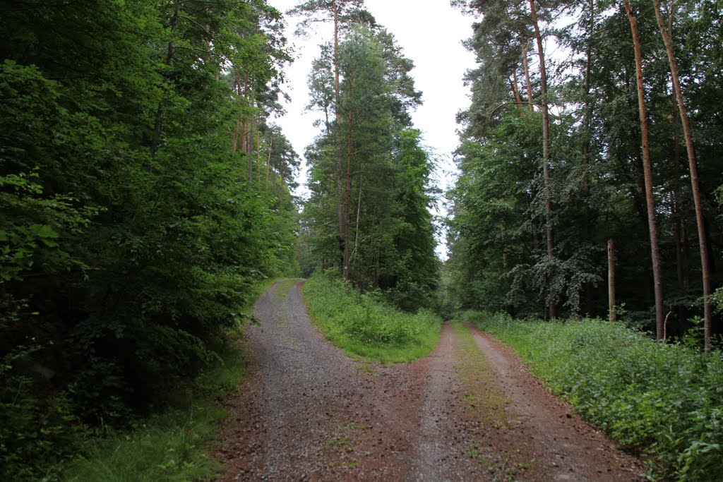 Abzweig vom unteren Gähbahnweg nach links auf den Ringweg, Juni 2011 by kdh865