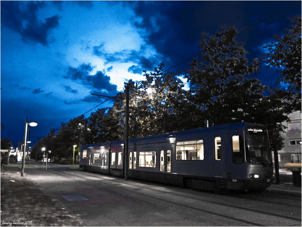 Les lumières du TRAM ! by Landry Lachèvre