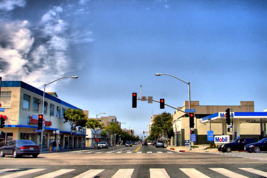 The Roads...in Mid-City, Santa Monica, CA by aleksolo