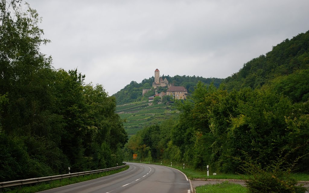 Schloss am Neckar by Hans J.S.C. Jongstra