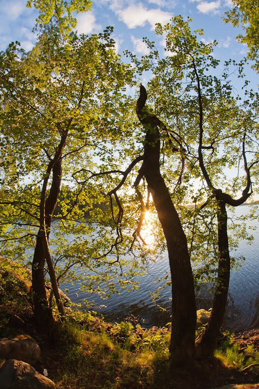 Sunset over Pitkäjärvi by Antti Tassberg