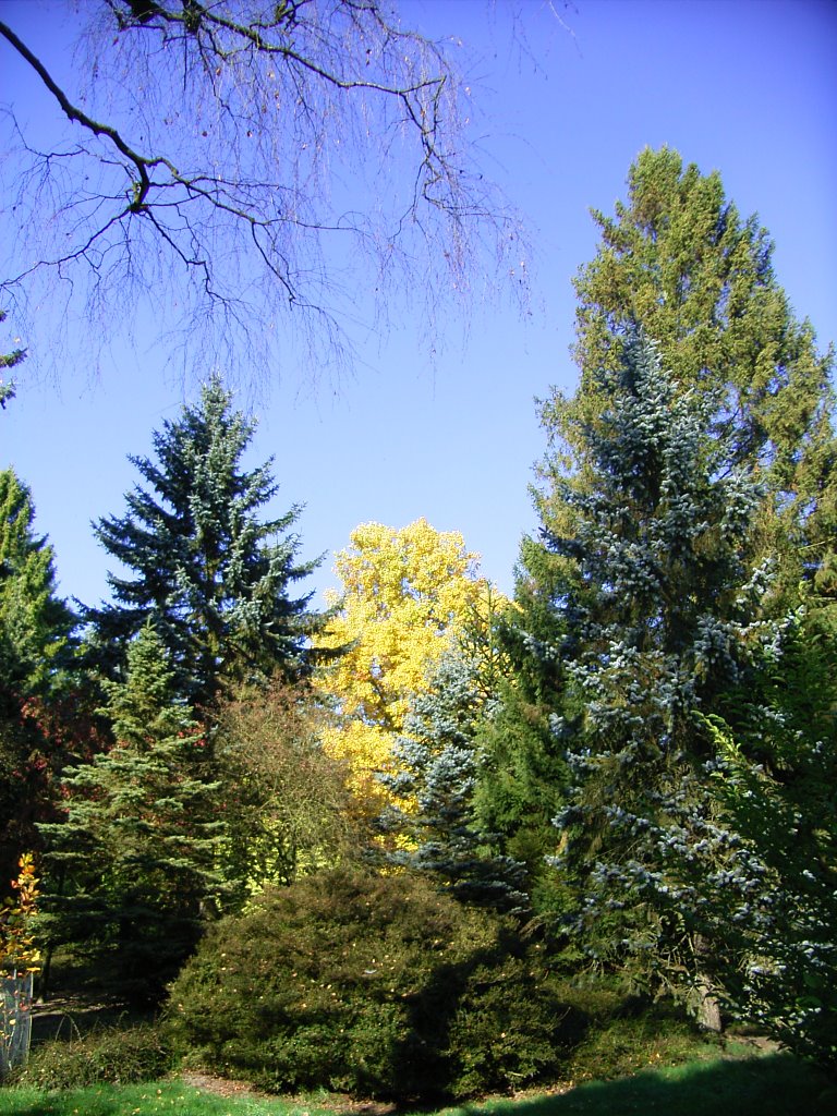 Herfst by margriet wienecke