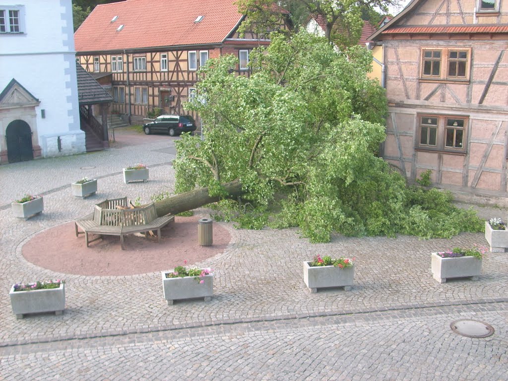 Der umgestürzte Baum an der Kirche in Steinbach Hallenberg by Mc Gregor