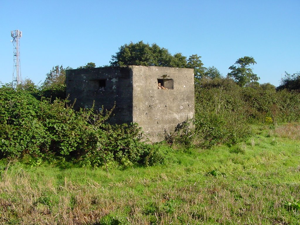 Pill Box in Norton Fitzwarren by cjhaig