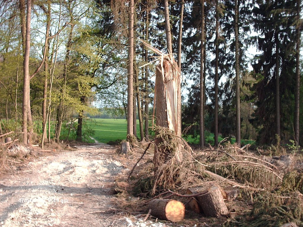 H©) April 2007 / Haltern am See - In der hohen Mark - Sturmschaden /3 by Hannes Th.