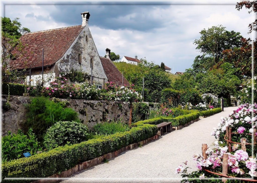 Karthause Ittingen im Thurgau, Schweiz by herba