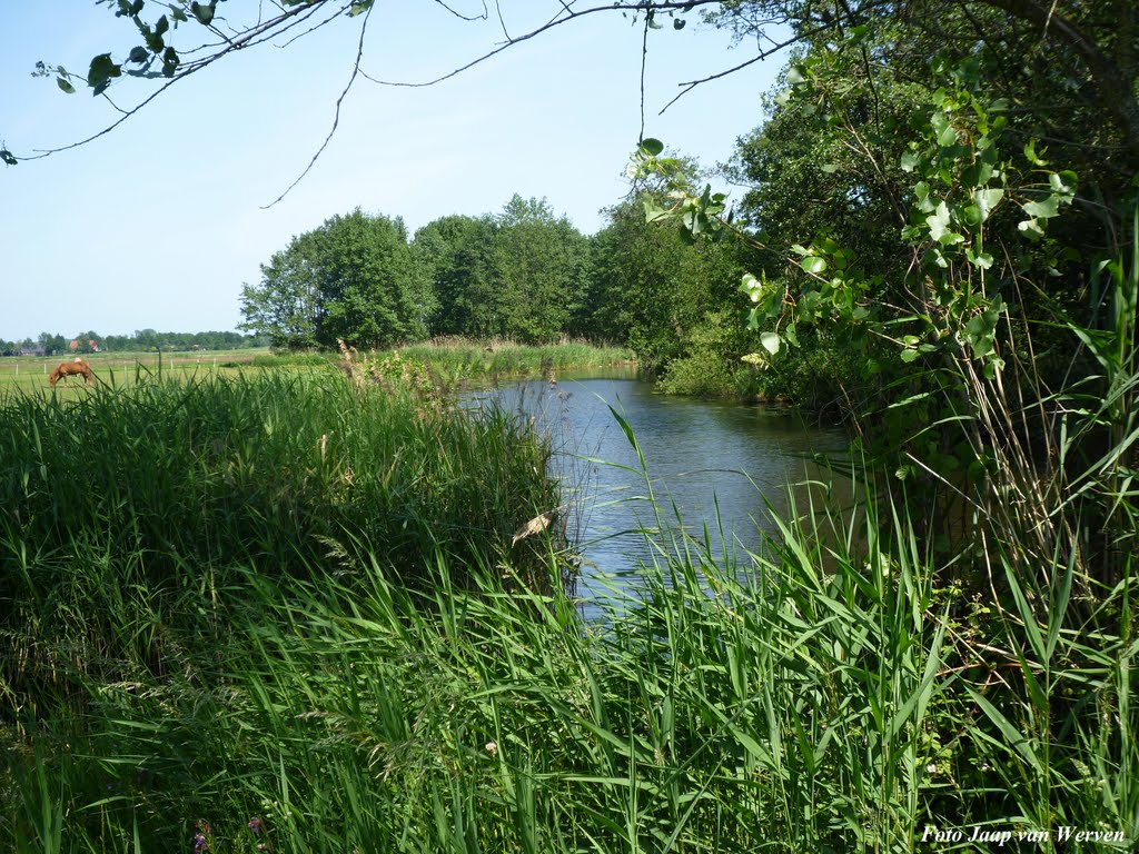 Zwolle Naturel by Jaap van Werven