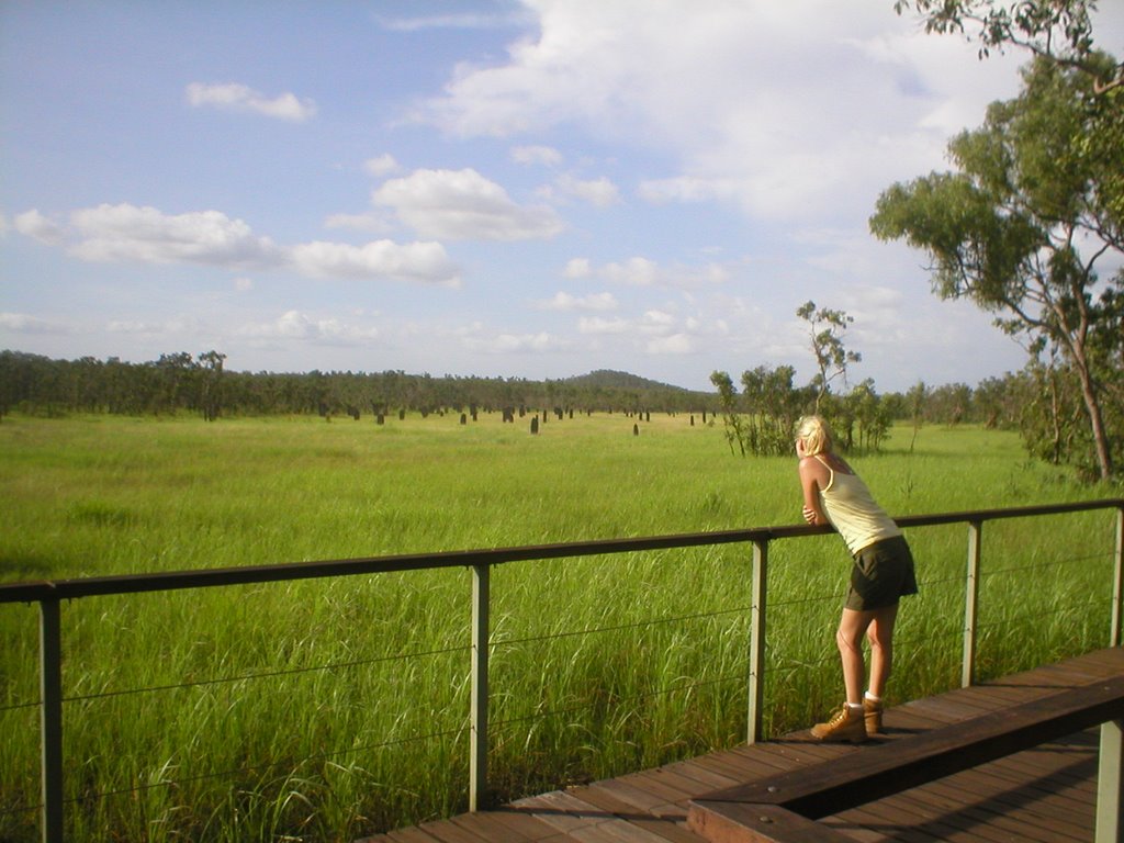 Termite Mounds Litchfield NP, Northern Territory by Sonya Brunt