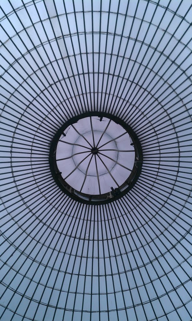 Kibble Palace roof by Iain