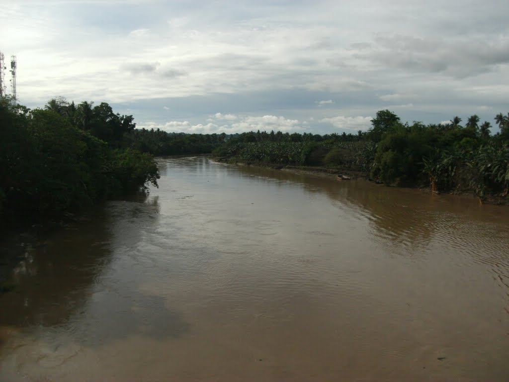 Davao River (Brown Water) by jersonmark