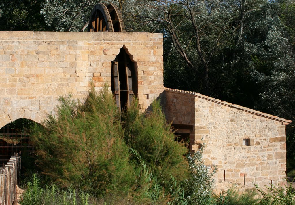 Monasterio de Rueda by Guillermo Aguilar