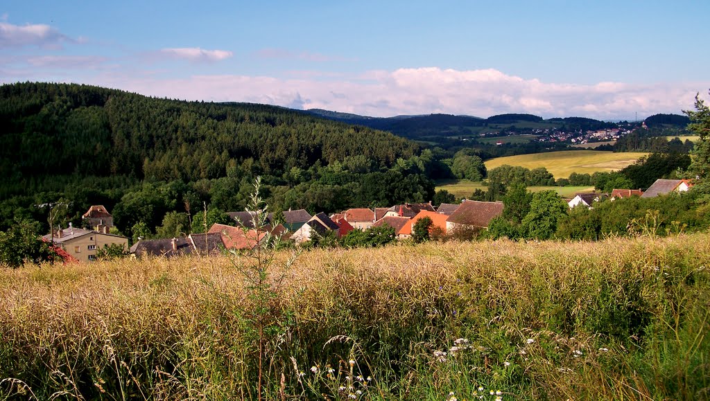 Doubravice od kříže v poz. Čestice by josef psenicka